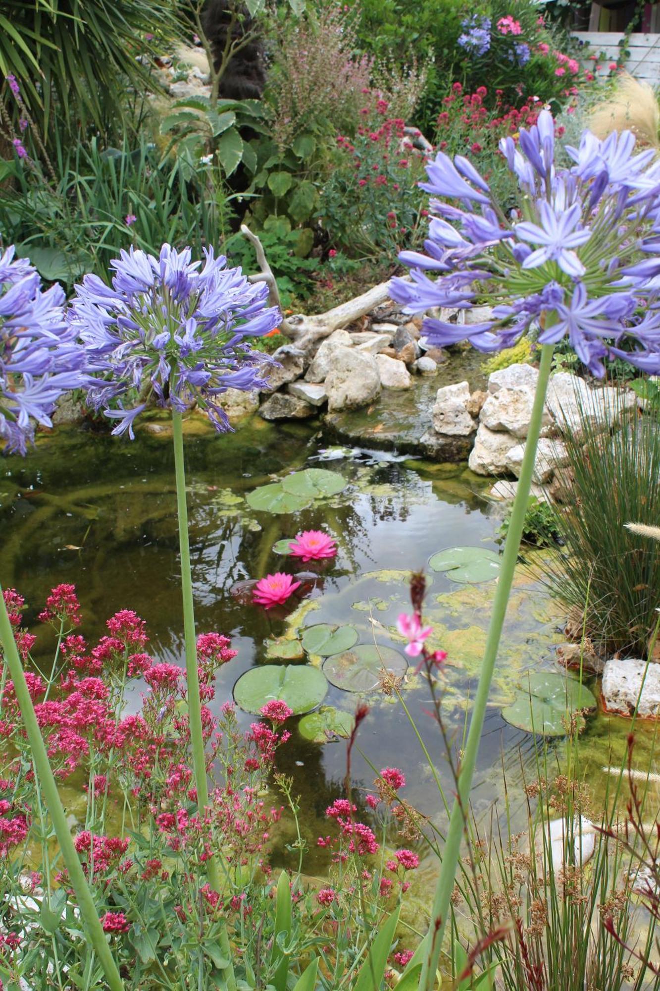 La Douce Charentaise Bed & Breakfast Merignac  Luaran gambar